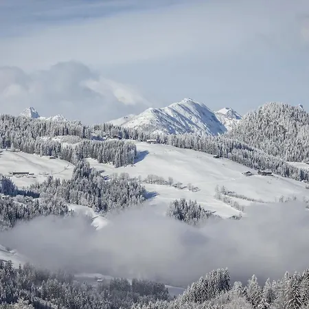 Penthouse N'1 - Alpenluxus Collection Kramsach