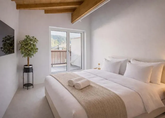 Penthouse N'1 - By Alpenluxus Collection 度假居 克拉姆萨赫