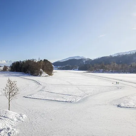 Apartment Penthouse N'1 - Alpenluxus Collection